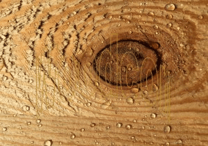 Woodcon - Scaffolding waterproof