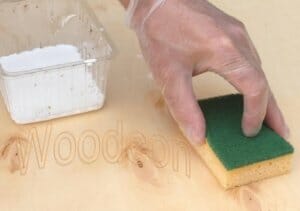 Woodcon sponge