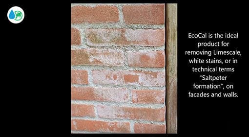 Use EcoCal to remove limescale and white stains from walls, facades and bricks